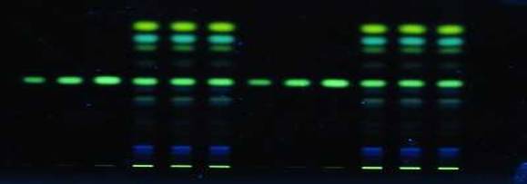 薄層雖小,事兒不少 薄層雖小,事兒不少