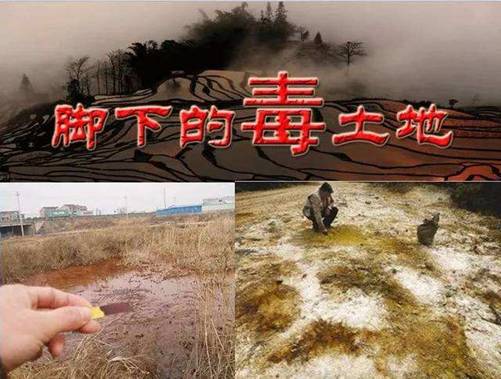 土壤樣品采集開始啦 安國中藥材(中國藥典品種)質(zhì)量可追溯項目( 2020 ) 土壤樣品采集開始啦 安國中藥材(中國藥典品種)質(zhì)量可追溯項目( 2020 )